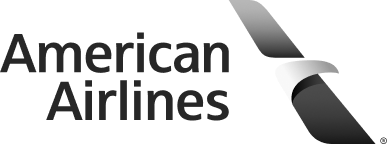 American Airlines icon